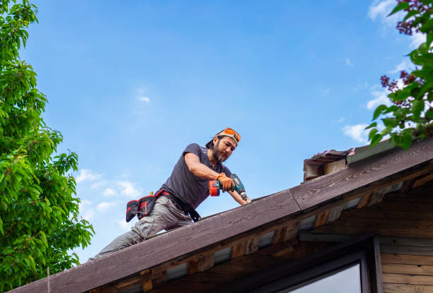 Best Cold Roofs  in Scott, LA